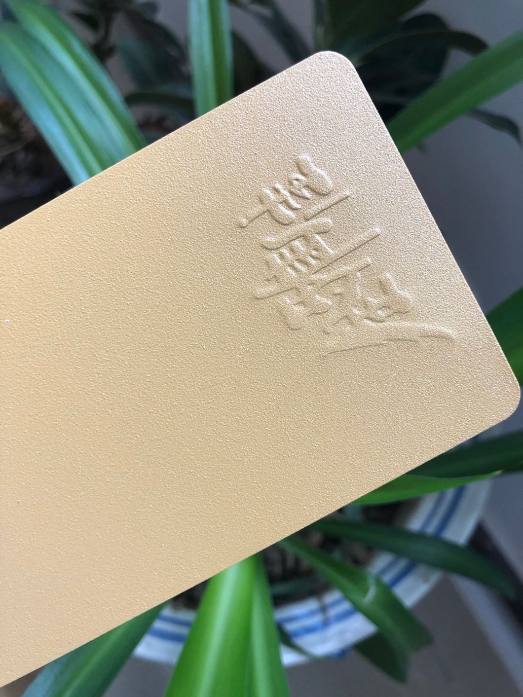 revestimento em pó san jose ca