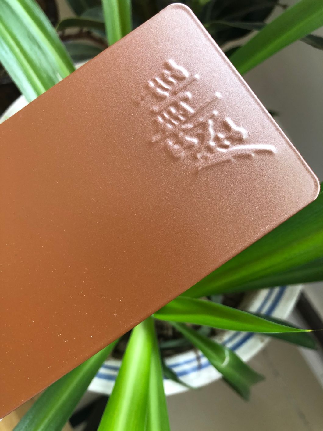 Surrey revestimento em pó