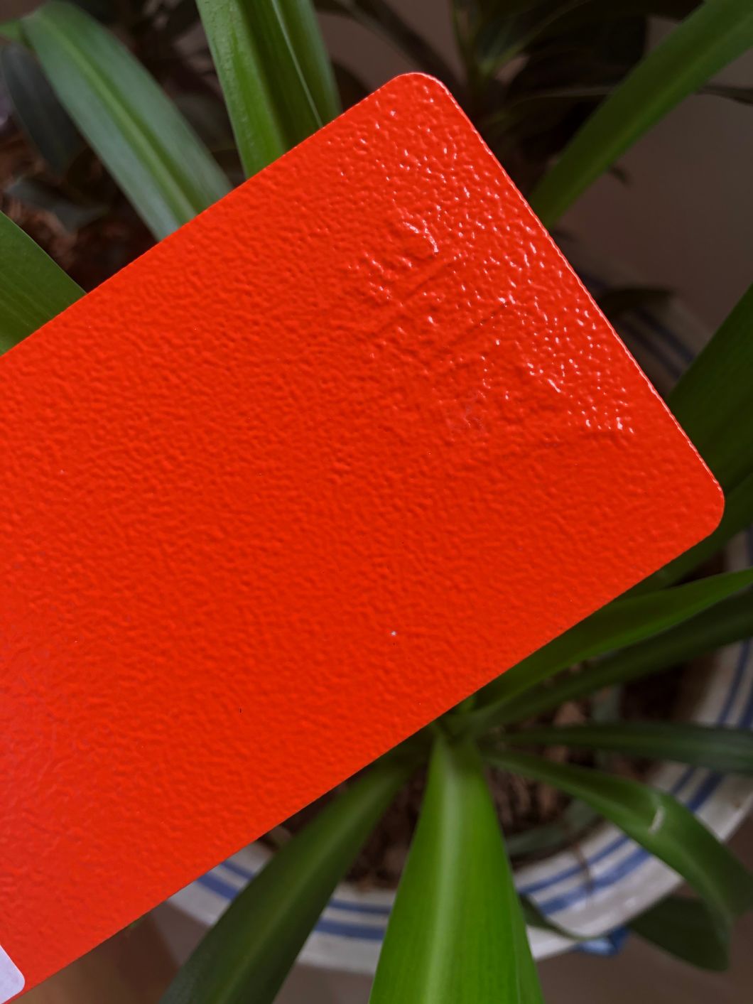 capa de polvo de raya azul