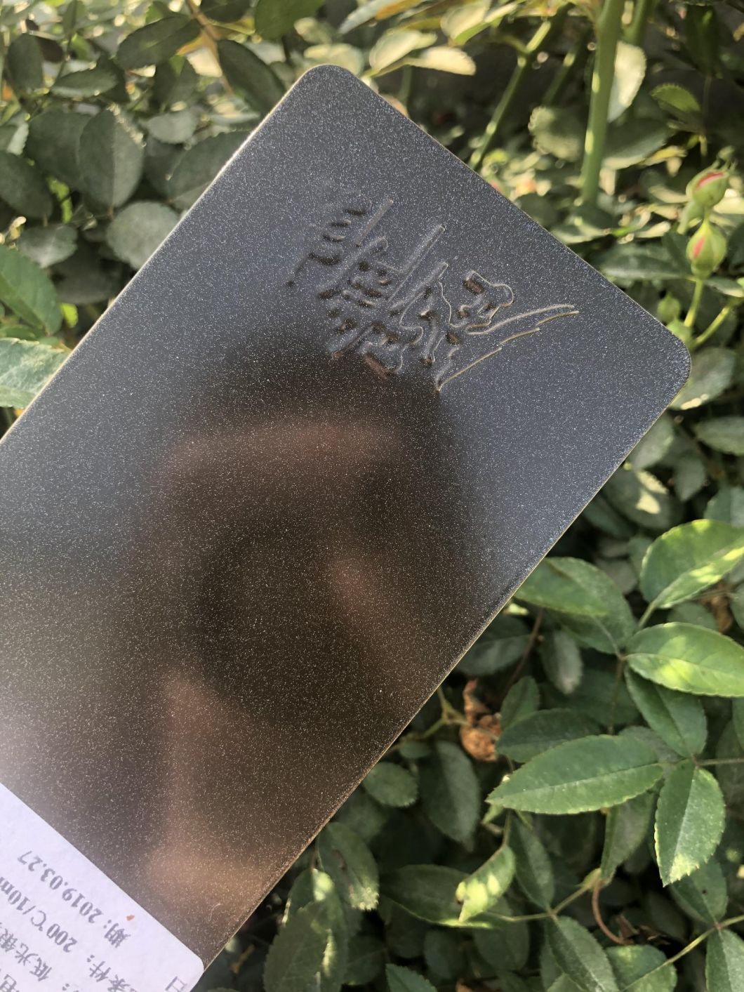 طلاء مسحوق السيليكون
