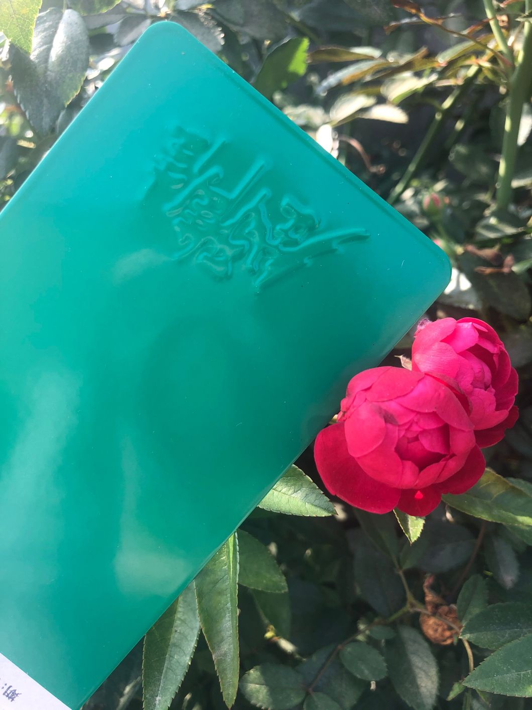 طلاء ويسكونسن ومعطف مسحوق