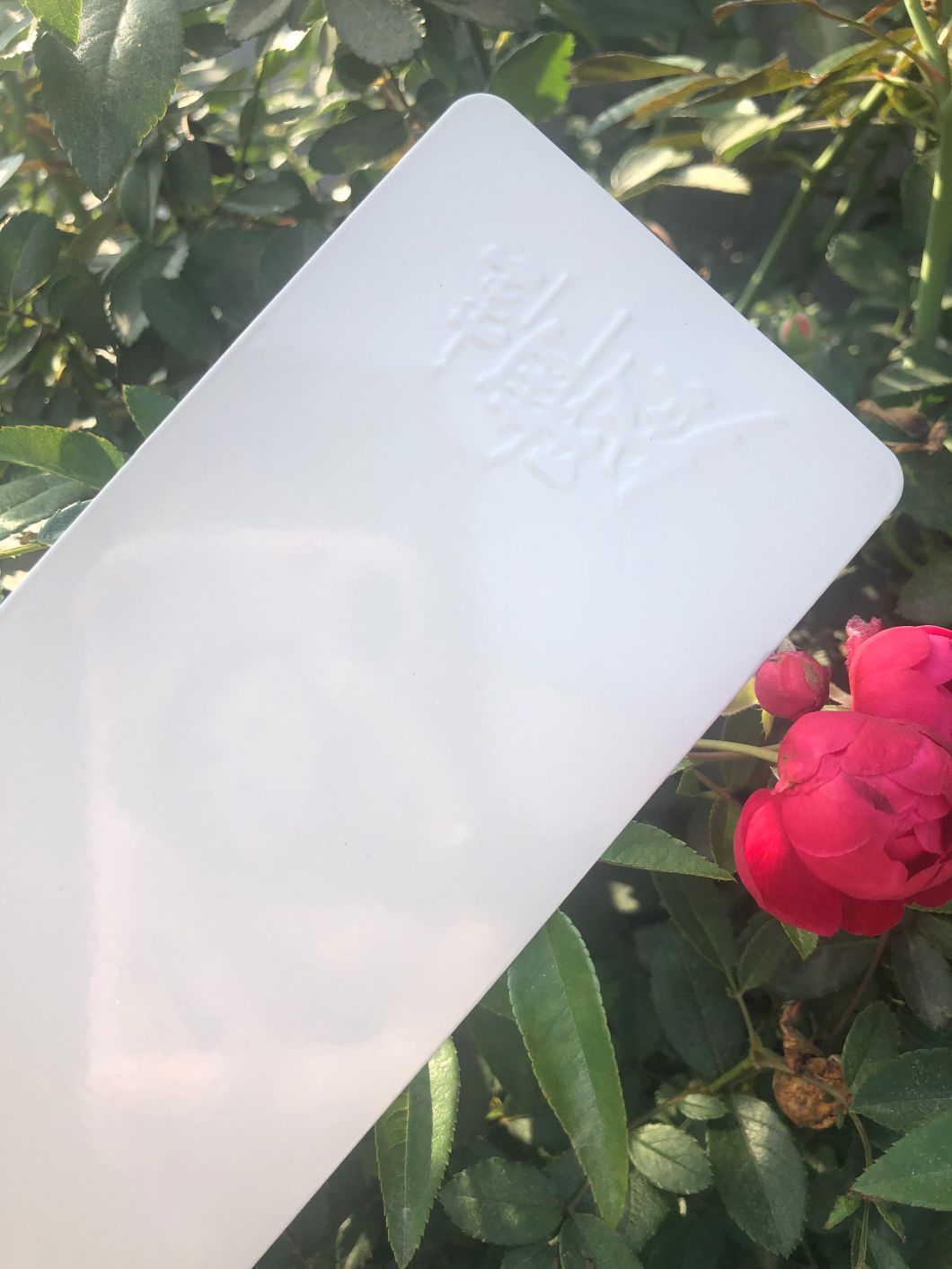 طلاء عالي اللمعان SC1