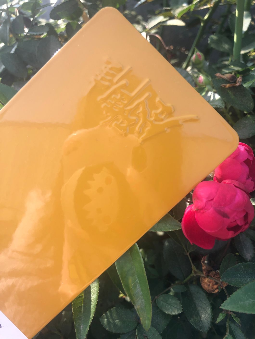 معطف مسحوق أسود غير لامع